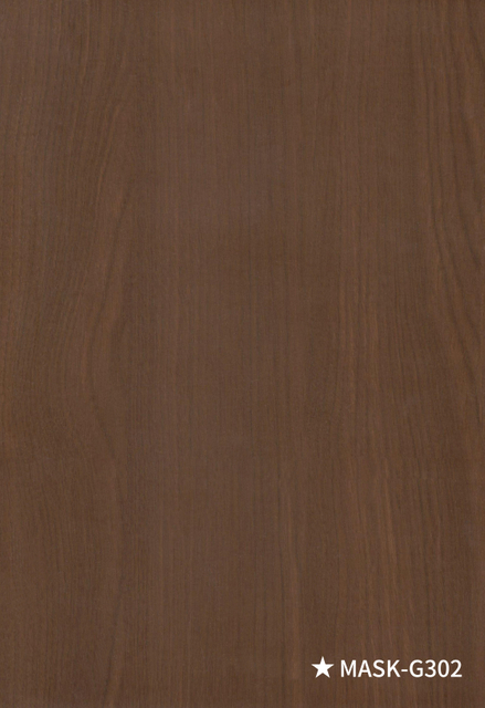 21, M&Aacute;SCARA-G302 HC16S