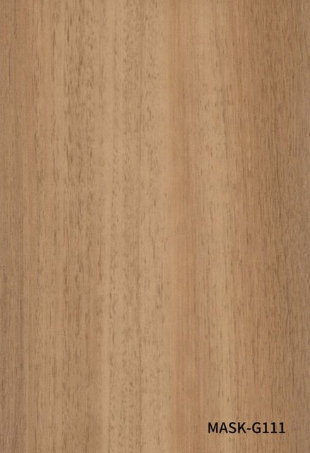 11, M&Aacute;SCARA-G111 HC10069