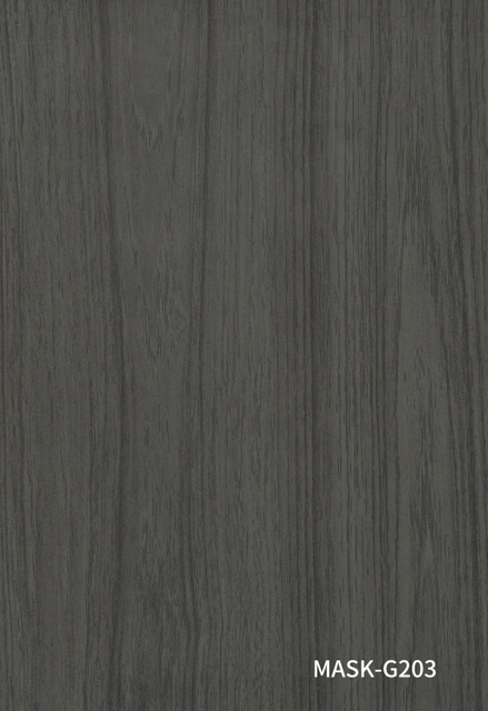 14, M&Aacute;SCARA-G203 (CAN-1)