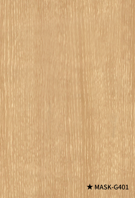 26, M&Aacute;SCARA-G401 P-16S