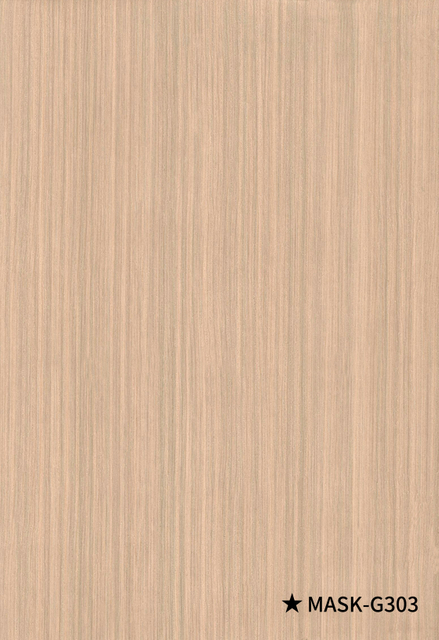 22, M&Aacute;SCARA-G303 HC浮16S